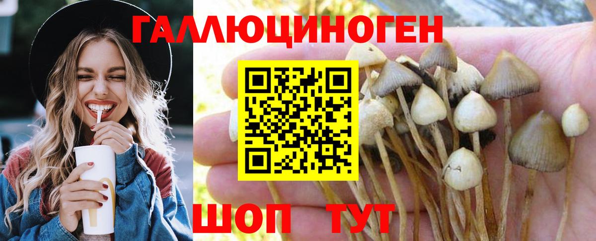 Псилоцибиновые грибы мухоморы  Вход с VPN  Усть-Джегута 